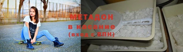 прущие грибы Медвежьегорск