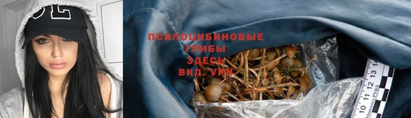 прущий лед Абаза