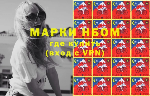 прущие грибы Медвежьегорск