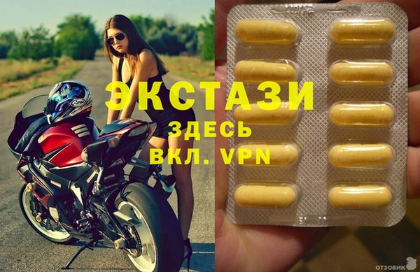 прущие грибы Медвежьегорск