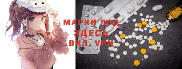 амф Новозыбков