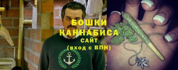 прущие грибы Медвежьегорск