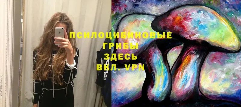 Галлюциногенные грибы прущие грибы  сайты даркнета какой сайт  Ногинск  цены наркотик 