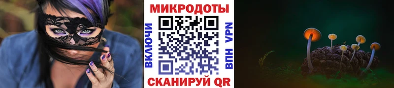 купить цена Ногинск дарк нет наркотические препараты Псилоцибиновые грибы Cubensis