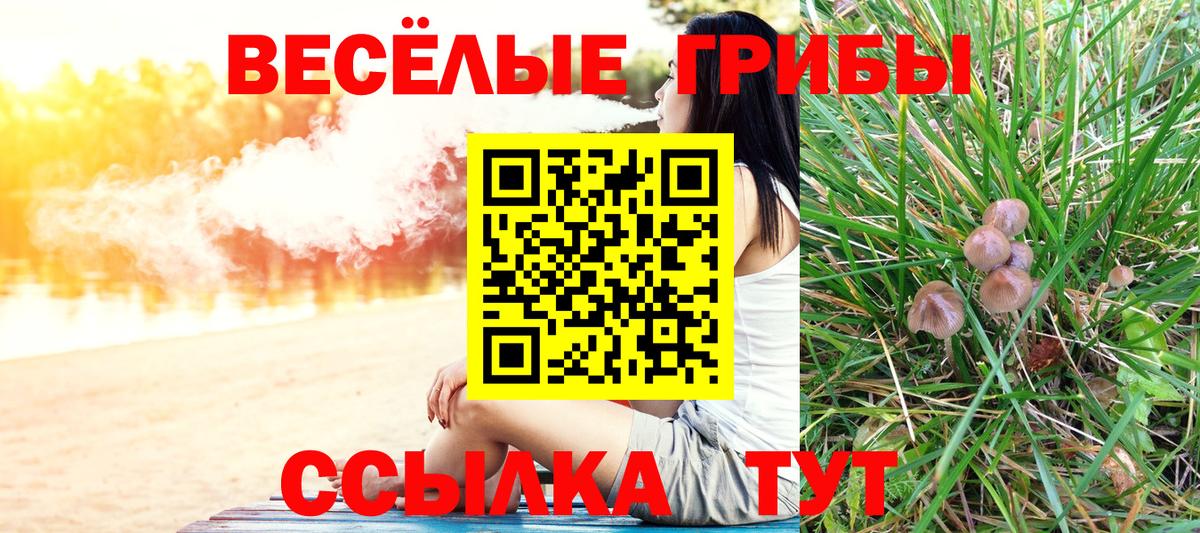 Псилоцибиновые грибы Magic Shrooms Ногинск