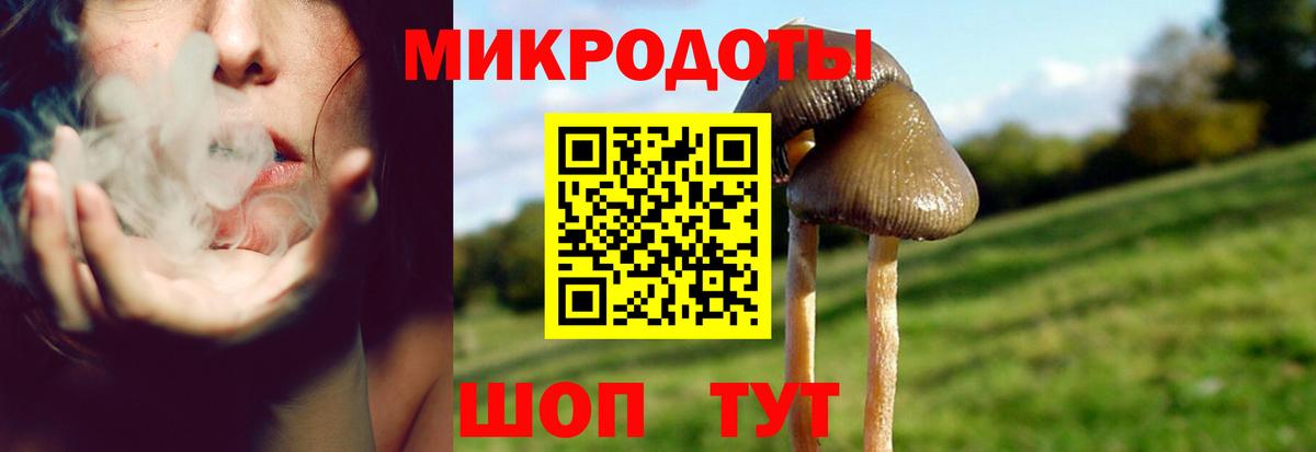Ногинск  Псилоцибиновые грибы Magic Shrooms  Вход с VPN 
