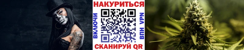 Марихуана сатива  Ногинск 